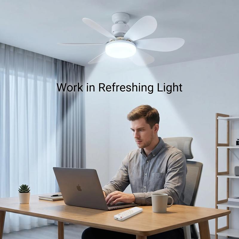 Celine Fan Light